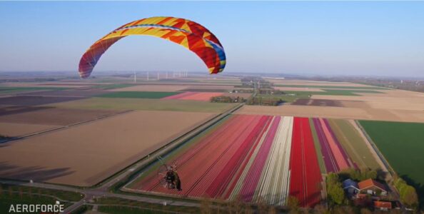 Kleurige tulpenvlucht